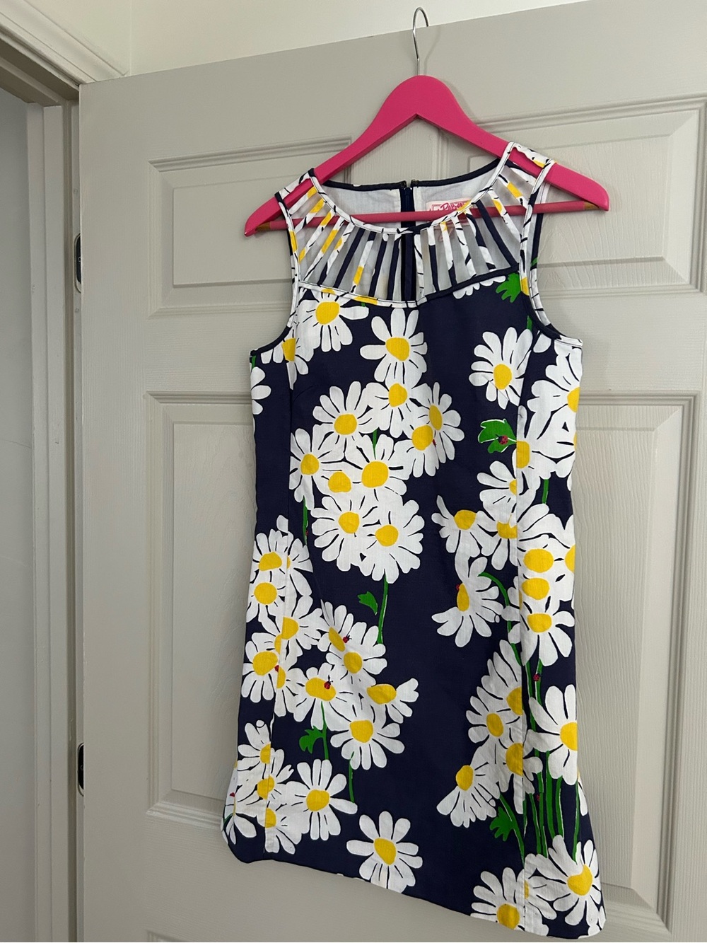 Lilly Pulitzer Original Daisy Ladybug Floral Shift Dress Womens Size 6 Garden